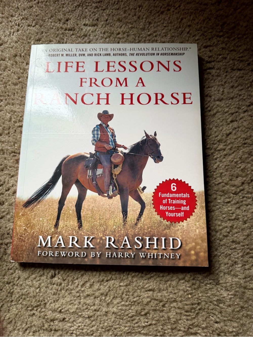 Life Lessons From a Ranch Horse - White Cover